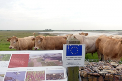 Image description